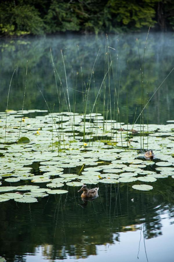 Riverland Gornji Zvečaj エクステリア 写真
